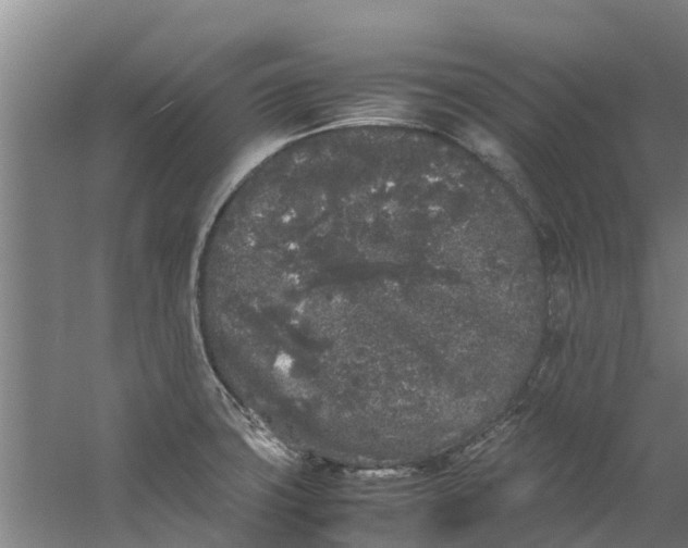 X0000059851427200511041828