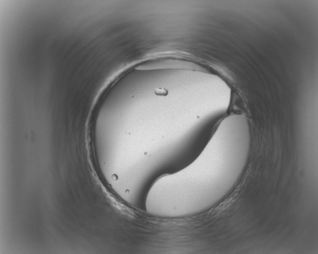 X0000059851430200511041828