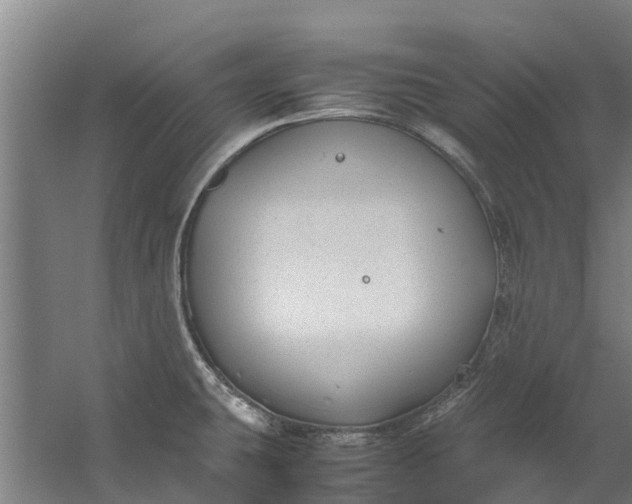 X0000059851431200511041828