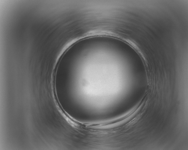 X0000059851438200511041828