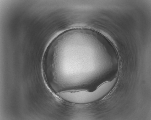 X0000059851440200511041828