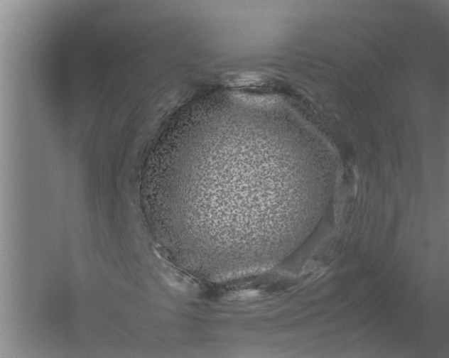 X0000059851441200511041827