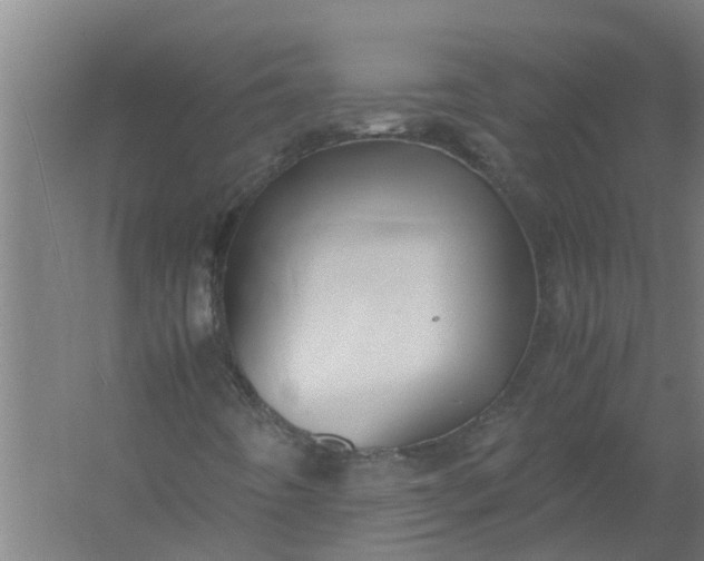 X0000059851442200511041827