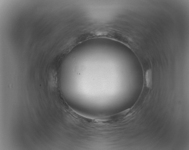 X0000059851443200511041827