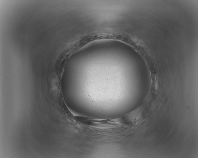 X0000059851445200511041827