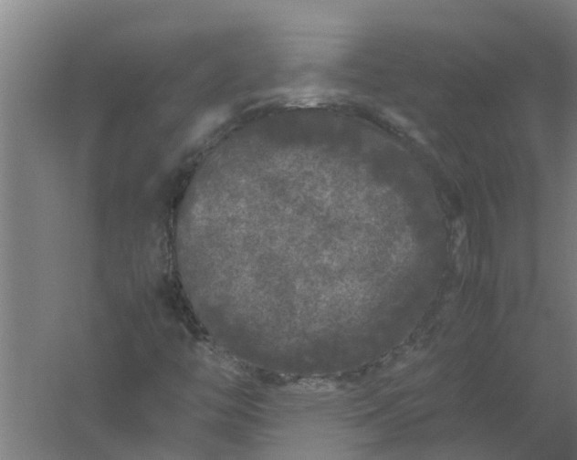 X0000059851446200511041827