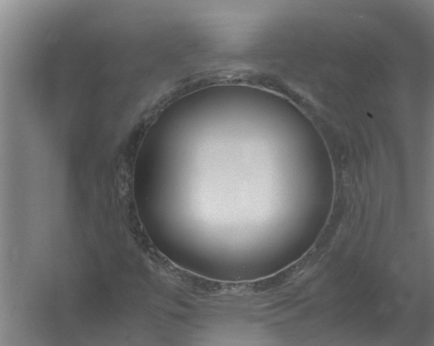 X0000059851447200511041827