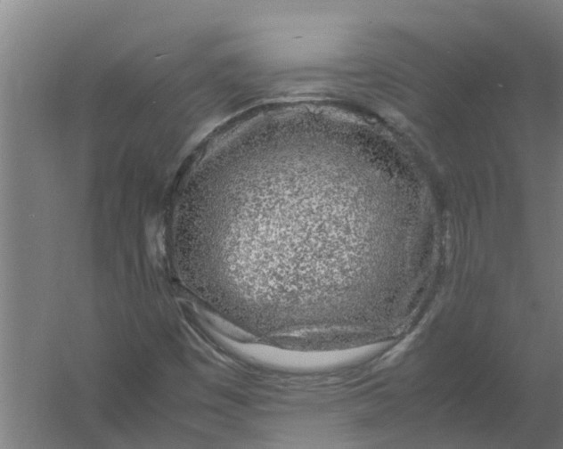 X0000059851449200511041827