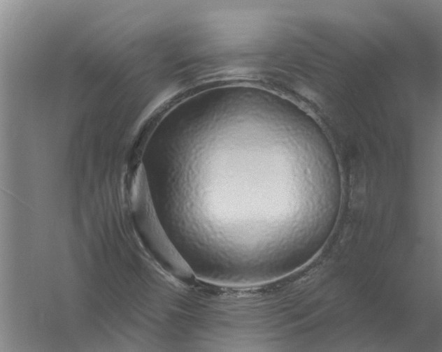 X0000059851450200511041827