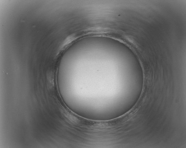 X0000059851451200511041827