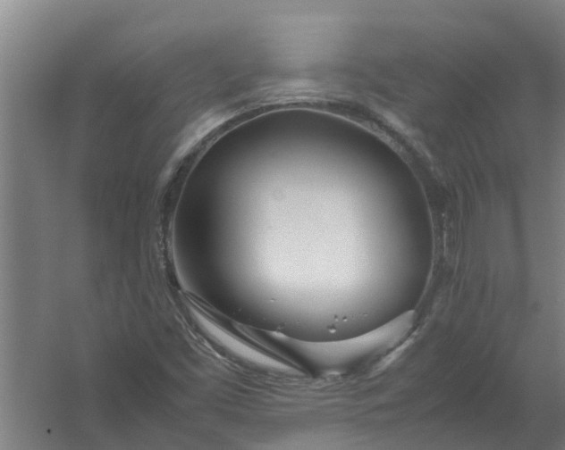 X0000059851453200511041827