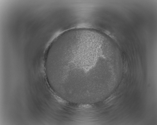 X0000059851454200511041827