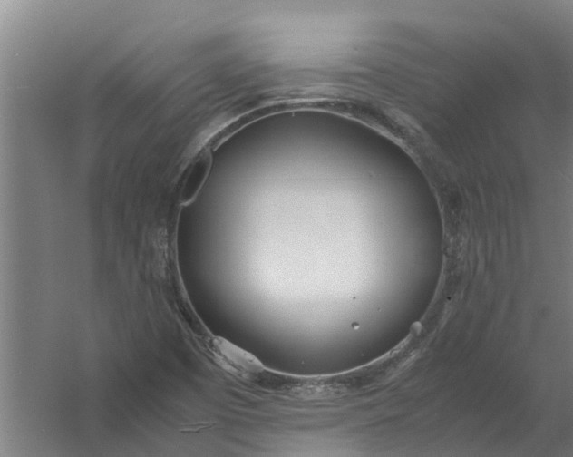 X0000059851457200511041827