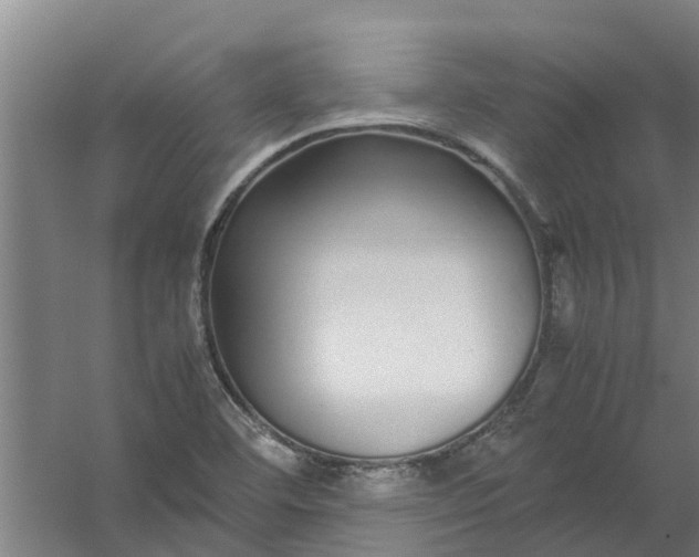 X0000059851460200511041827