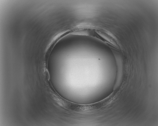 X0000059851461200511041827