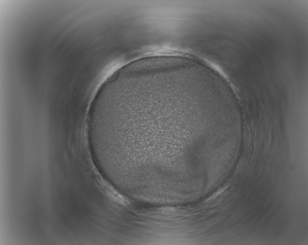 X0000059851463200511041827