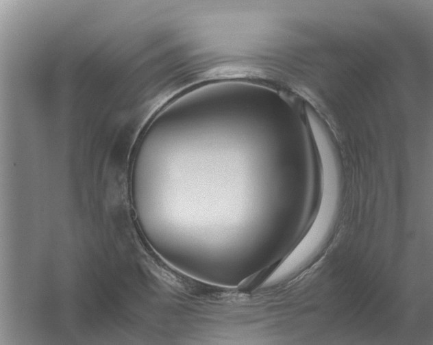 X0000059851465200511041827