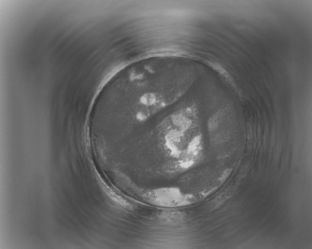 X0000059851466200511041826