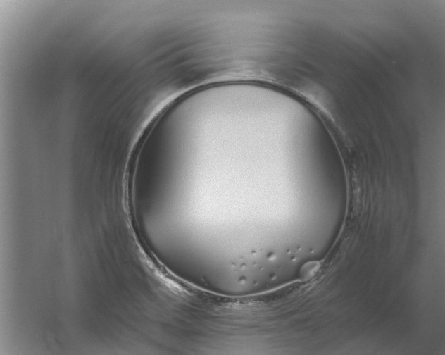 X0000059851468200511041826