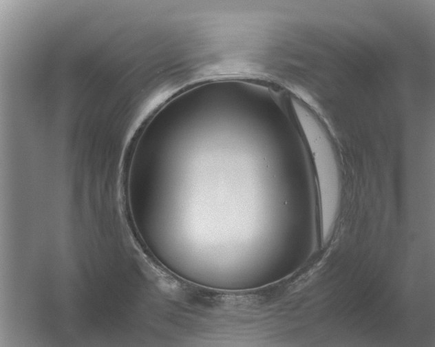 X0000059851469200511041826