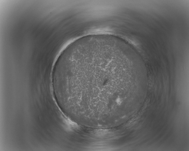 X0000059851470200511041826