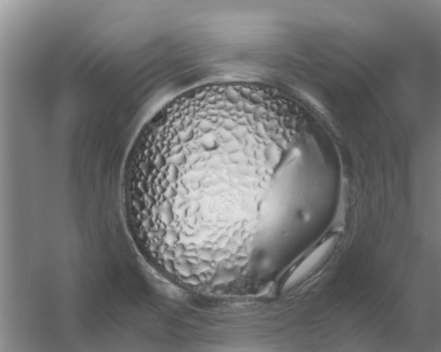 X0000059851471200511041826