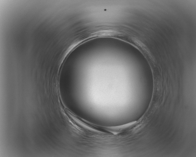 X0000059851473200511041826