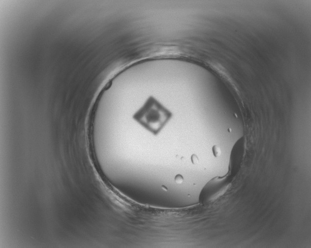 X0000059851475200511041826