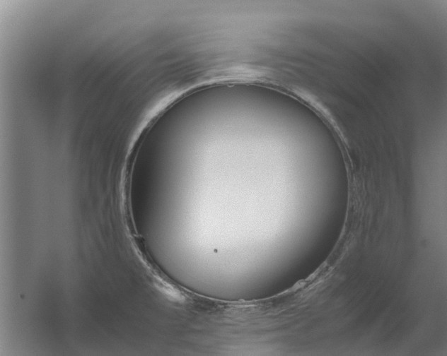 X0000059851477200511041826