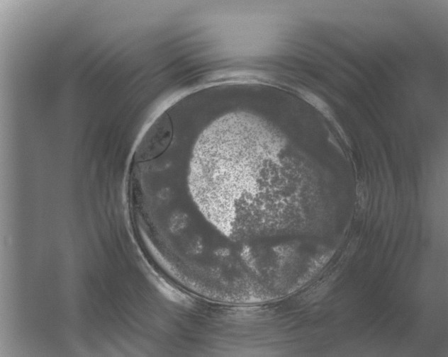 X0000059851482200511041826