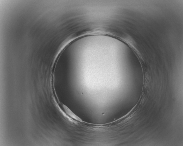 X0000059851484200511041826