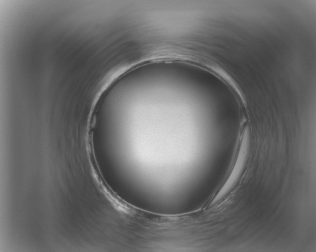 X0000059851485200511041826