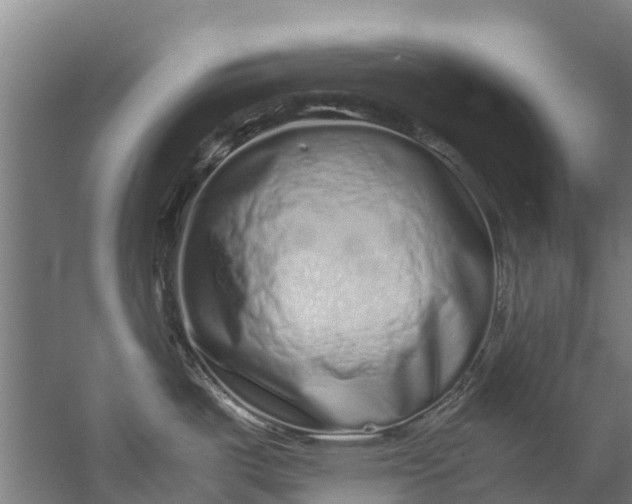 X0000059851487200511041826