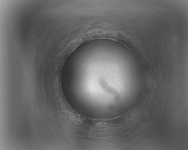 X0000059851489200511041825