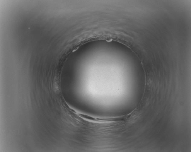 X0000059851490200511041825