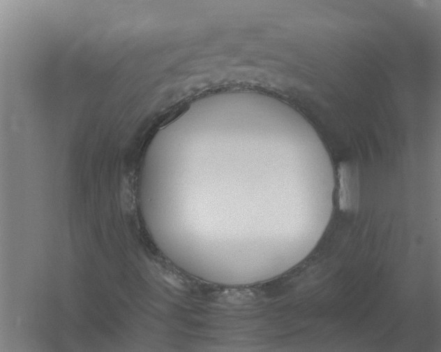 X0000059851491200511041825