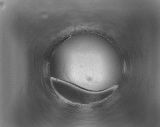 X0000059851492200511041825