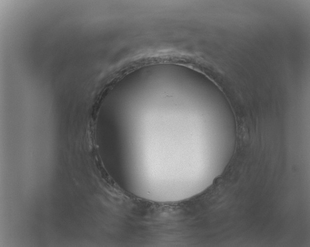 X0000059851493200511041825