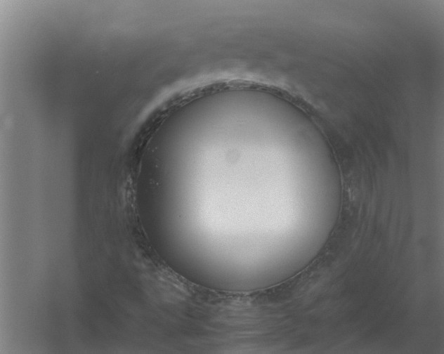 X0000059851495200511041825