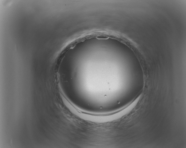 X0000059851496200511041825