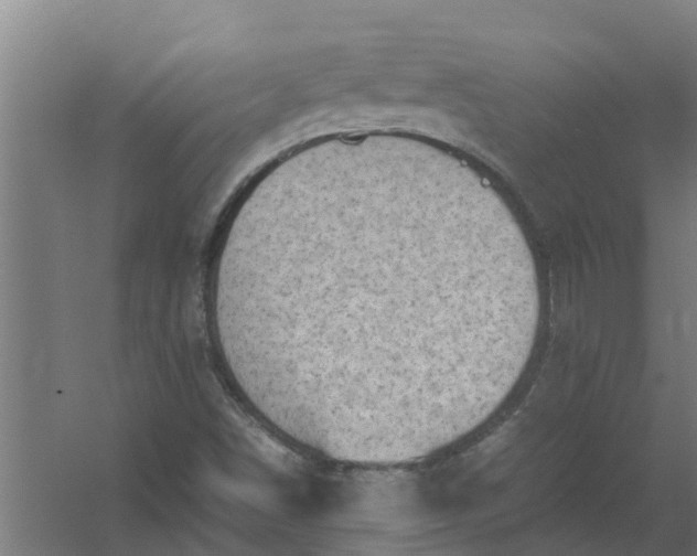 X0000059851498200511041825