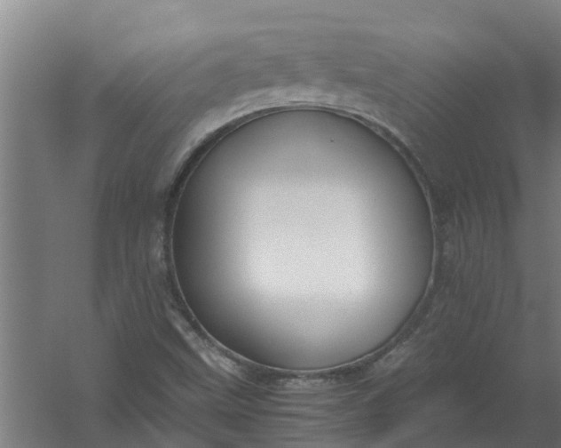 X0000059851499200511041825