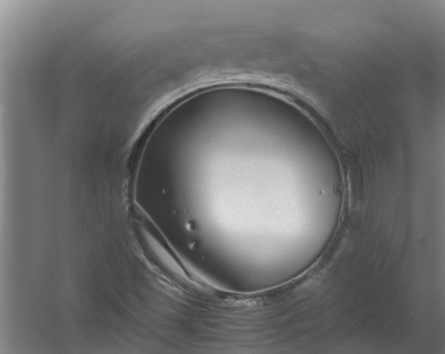 X0000059851501200511041826