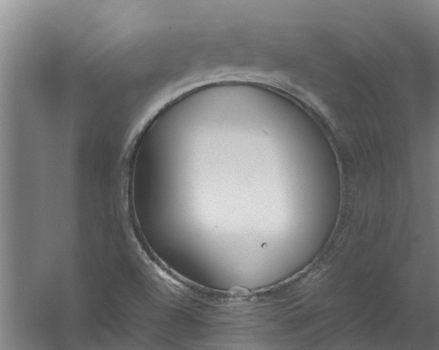 X0000059851504200511041826