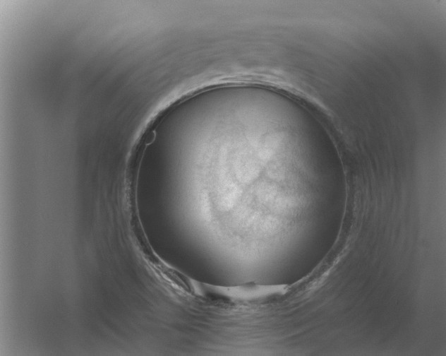 X0000059851506200511041826