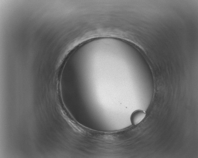 X0000059851507200511041826