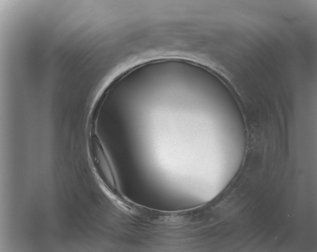 X0000059851511200511041826