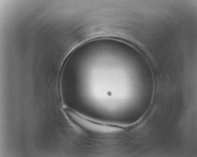 X0000059851513200511041826