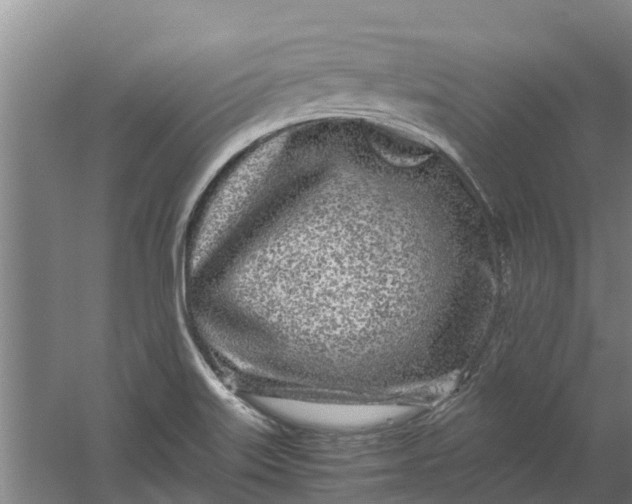 X0000059851515200511041826