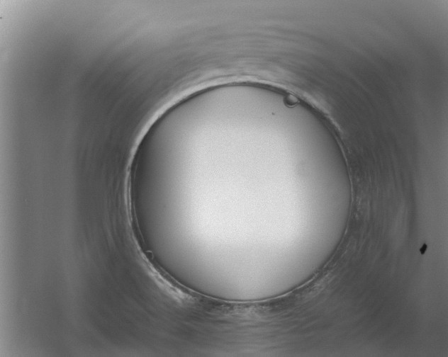 X0000059851516200511041826